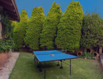 tree, grass, outdoor, tennis, racket, ping pong, table tennis racket, table, racquet sport